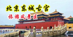 插穴视频黄片你懂的中国北京-东城古宫旅游风景区